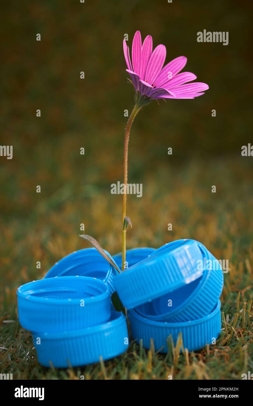 A flower growing between plastic caps showing the importance of recycling and caring for the environment and it`s health giving objects a second life Stock Photo